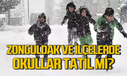 Zonguldak ve ilçelerinde okullar tatil mi?