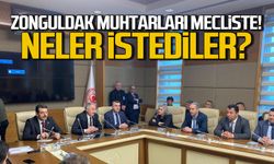 Kdz Ereğli muhtarları TBMM'de neler istedi