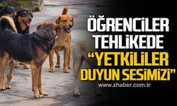 Öğrencilerin canı tehlikede! Yetkililer duyun sesimizi!