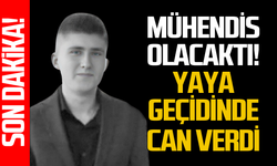 Mühendis olacaktı! Yaya geçidinde can verdi