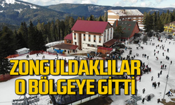 Zonguldaklılar Ilgaz Dağı'nda stres attı!