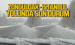 Zonguldak-İstanbul yolunda son durum!