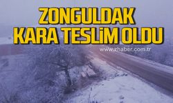 Zonguldak'ın yüksek kesimlerinde kar yağışı etkili oldu!