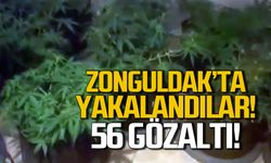 Zonguldak'ta uyuşturucu operasyonu, 56 şüpheli yakalandı!