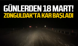 Günlerden 18 Mart: Zonguldak'ta kar başladı!