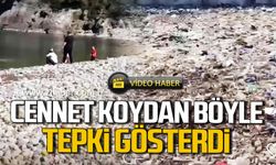 Zonguldak'a yakışmıyor! Cennet Koydan böyle tepki gösterdi!