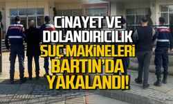 Cinayet ve dolandırıcılık! Suç makineleri Bartın'da yakalandı!