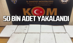 Operasyon: 50 bin makaron yakalandı!