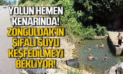 Yolun hemen kenarında! Zonguldak'ın şifalı suyu keşfedilmeyi bekliyor!