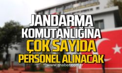 Zonguldak İl Jandarma Komutanlığı'na çok sayıda personel alınacak!