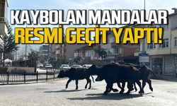 Kaybolan mandalar resmi geçit yaptı!