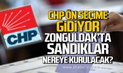 CHP ön seçime gidiyor! Zonguldak'ta sandıklar nereye kurulacak?