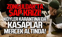 Zonguldak’ta Şap krizi! Kasaplar mercek altında!