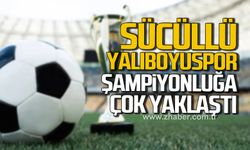 Birinci Amatör Lig Play-off’un 4. Hafta maçları tamamlandı!