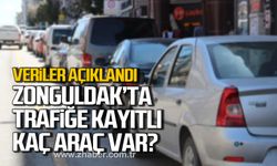 Zonguldak'ta trafiğe kayıtlı kaç araç var?