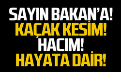 Sayın Bakan'a!