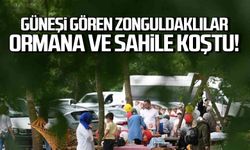 Güneşi gören Zonguldaklılar ormana ve sahile koştu!