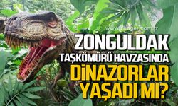 Zonguldak’ta Taşkömürü Havzasında dinazorlar yaşamış mıdır?