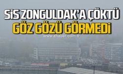Zonguldak'ta yoğun sis etkili oldu!