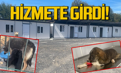 Zonguldak’ta sahiplendirme çalışmaları başlıyor: Hizmete girdi!