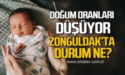 TÜİK Doğum İstatistikleri’ni açıkladı! Zonguldak'ta durum ne?