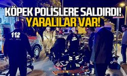Köpek saldırdı! 2 polis yaralandı!