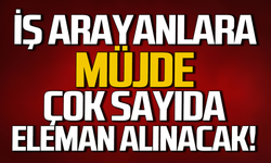 İş arayanlara müjde: Çok sayıda tecrübeli-tecrübesiz eleman alınacak!