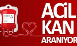 Kan aranıyor!