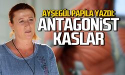 Antagonist Kaslar