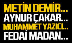 Metin Demir...