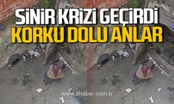 Kdz. Ereğli'de apartman sakini sinir krizi geçirdi! Korku dolu anlar