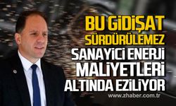 Deniz Yavuzyılmaz; "Sanayici enerji maliyetleri altında eziliyor, üretim geriliyor"