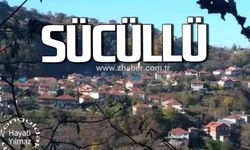 Hayati Yılmaz yazdı! Zonguldak köyleri: "Sücüllü"