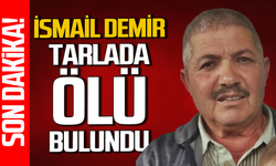 Zonguldak'ta tarlaya giden İsmail Demir ölü bulundu!