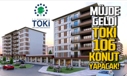 Milletvekili açıkladı: TOKİ 106 konut yapacak!