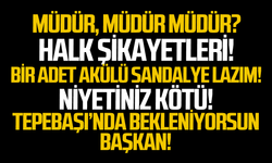 Müdür, müdür müdür?