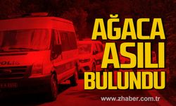 Karabük'te Olcay Sevdalı ağaca asılı halde bulundu!
