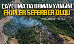 Çaycuma'da orman yangını! Ekipler seferber oldu!