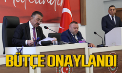 Osman Hacıbektaşoğlu başkanlığında gelir-gider  bütçesi onaylandı!