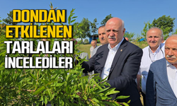 Şemsi Bayraktar, Karabük’te zirai dondan etkilenen tarlaları inceledi