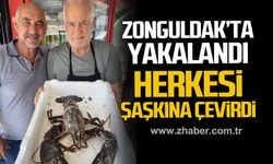 Zonguldak'ta yakalandı! Herkesi şaşkına çevirdi!
