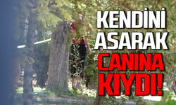 Zonguldak'ta yaşlı adam kendini asarak canına kıydı!