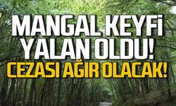 Mangal keyfi yalan oldu! Piknik yapmak yasaklandı!