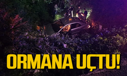 Ereğli’de kontrolden çıkan araç ormana uçtu!