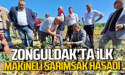 Zonguldak'ta ilk! Makineli sarımsak hasadı!