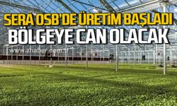 Çaycuma Sera OSB'de üretim başladı! Bölgeye can olacak!