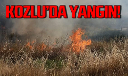 Kozlu’da yangın: Alevler panik yaşattı!