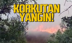 Safranbolu'da korkutan yangın! Ormanın hemen yanında!