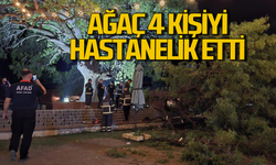 Karabük'te ağaçtan kopan dal 4 kişiyi hastanelik etti!