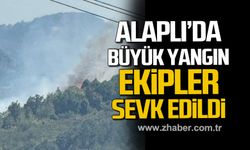 Alaplı'da büyük yangın! Ekipler sevk edildi!